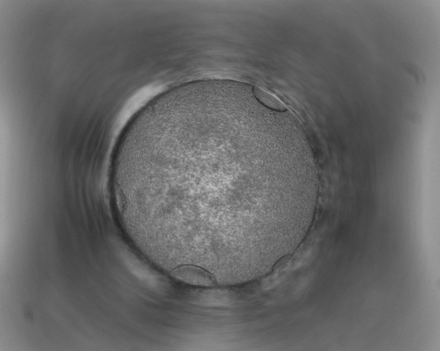 X0000113750104200910141035