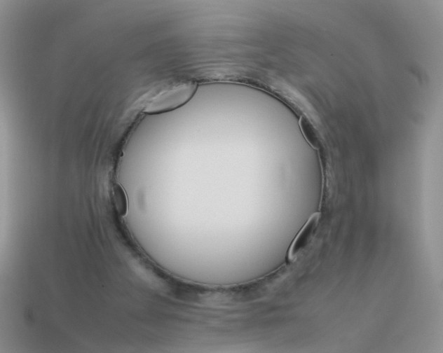 X0000113750105200910141035