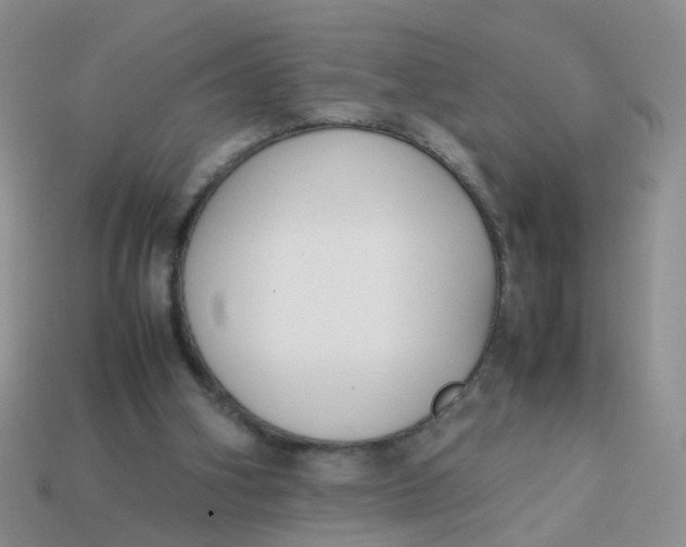 X0000113750106200910141035