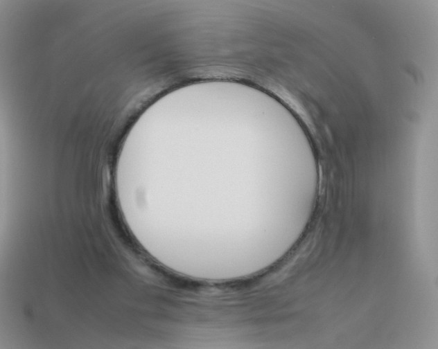 X0000113750109200910141035