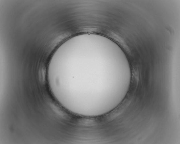 X0000113750110200910141035