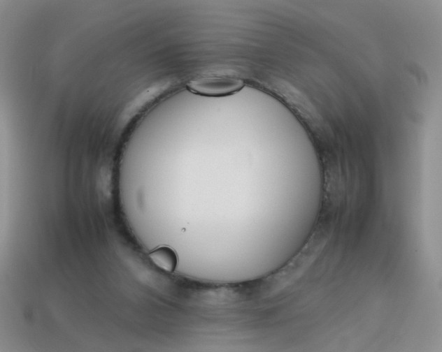 X0000113750112200910141035