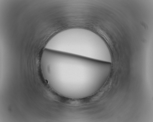 X0000113750113200910141035