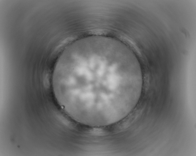 X0000113750114200910141035