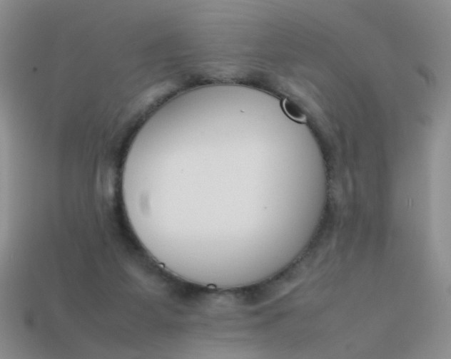 X0000113750115200910141035