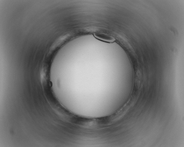 X0000113750116200910141035