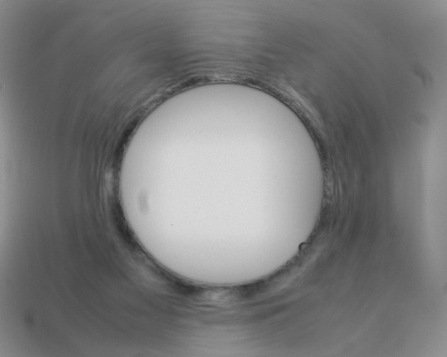 X0000113750117200910141035