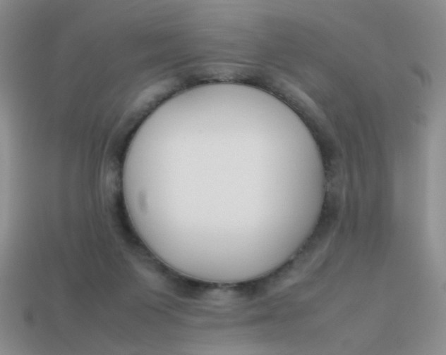 X0000113750119200910141035