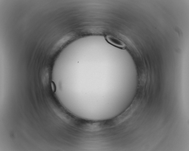 X0000113750120200910141035