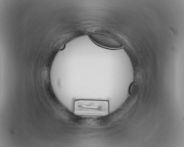 X0000113750121200910141035