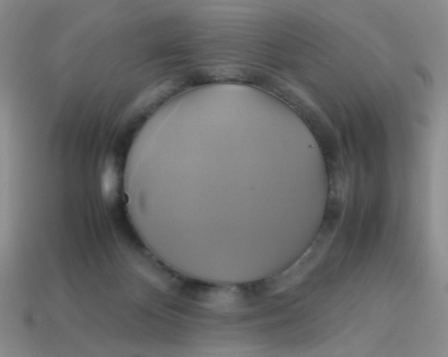 X0000113750124200910141035