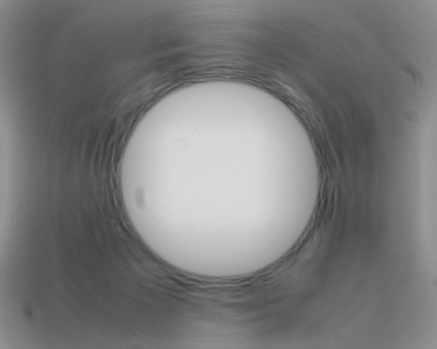 X0000113750125200910141035