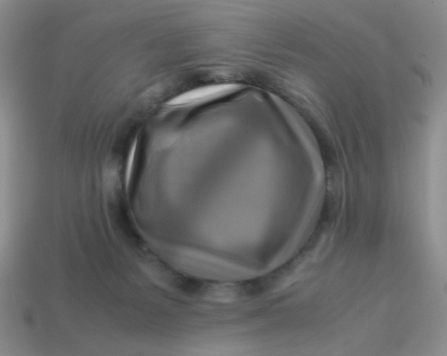 X0000113750127200910141035