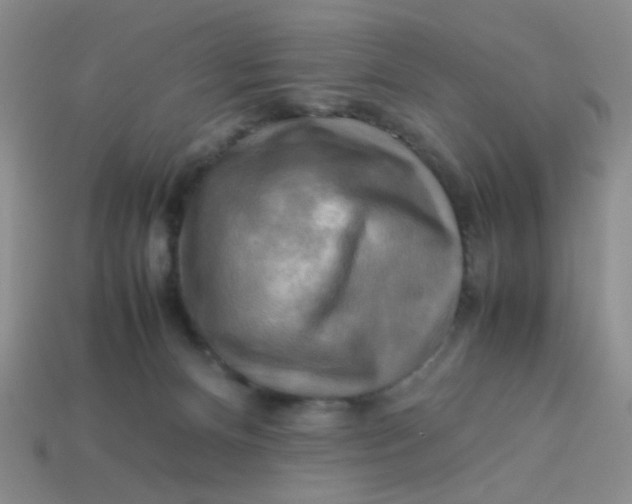 X0000113750128200910141035