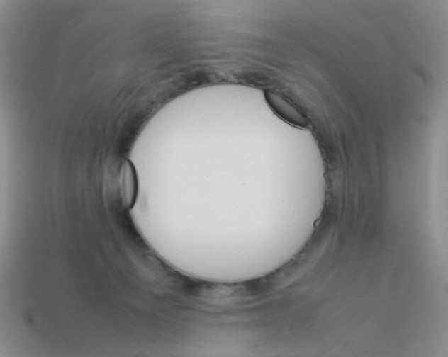 X0000113750129200910141035