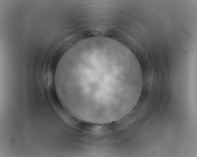 X0000113750130200910141035