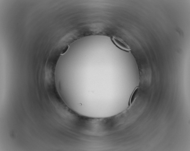 X0000113750136200910141035