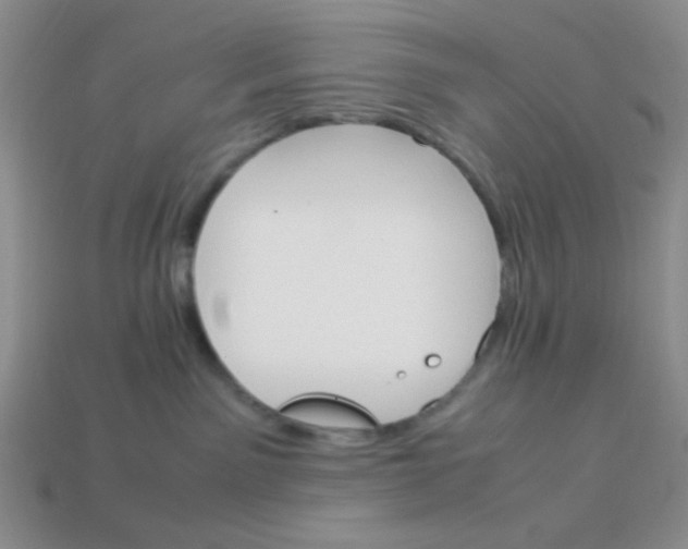 X0000113750141200910141034