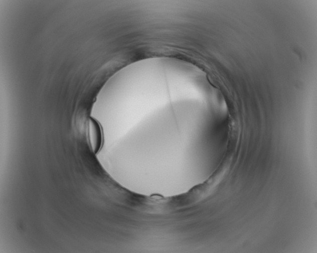 X0000113750143200910141034