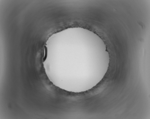 X0000113750144200910141034