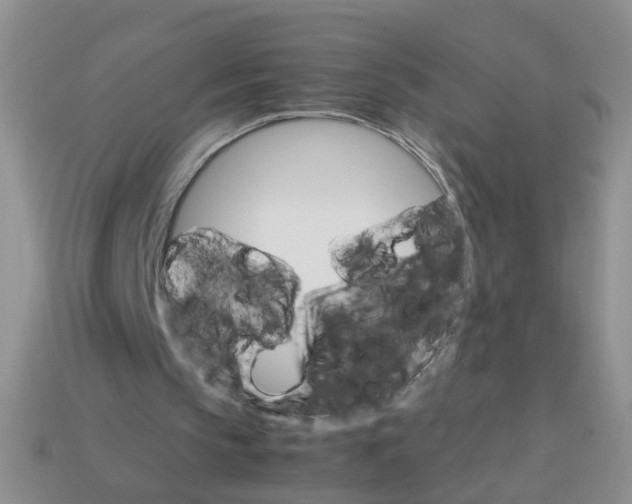 X0000113750145200910141033