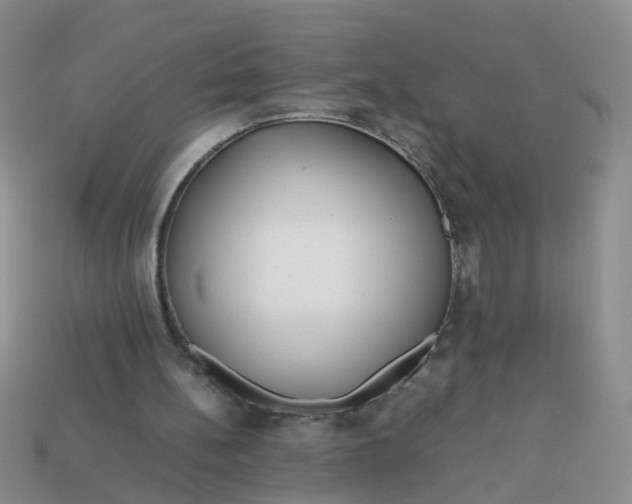 X0000113750148200910141033