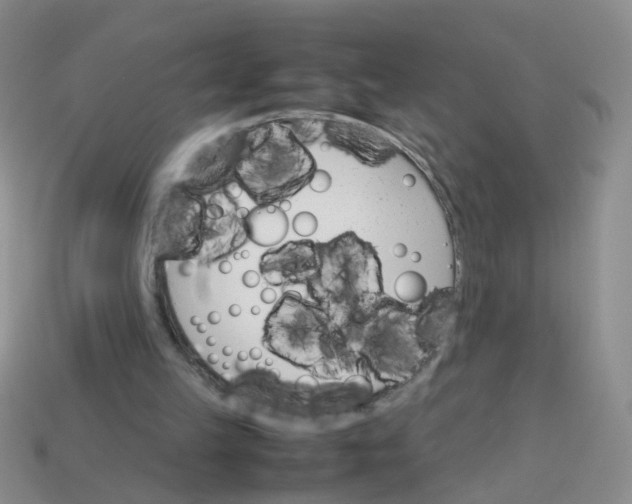 X0000113750149200910141033