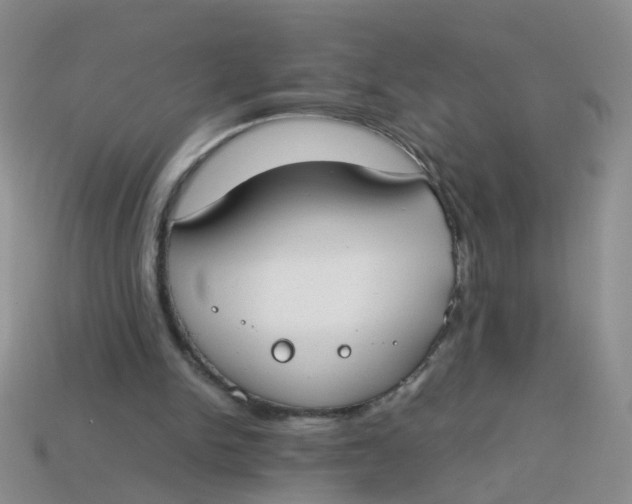 X0000113750150200910141033