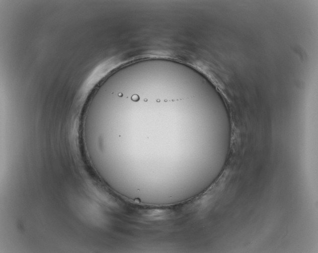 X0000113750151200910141033