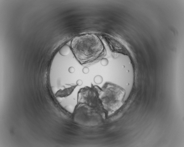 X0000113750153200910141034