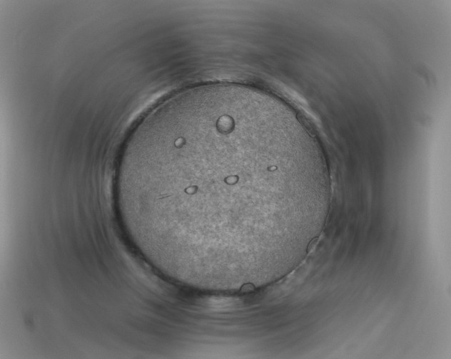 X0000113750154200910141034