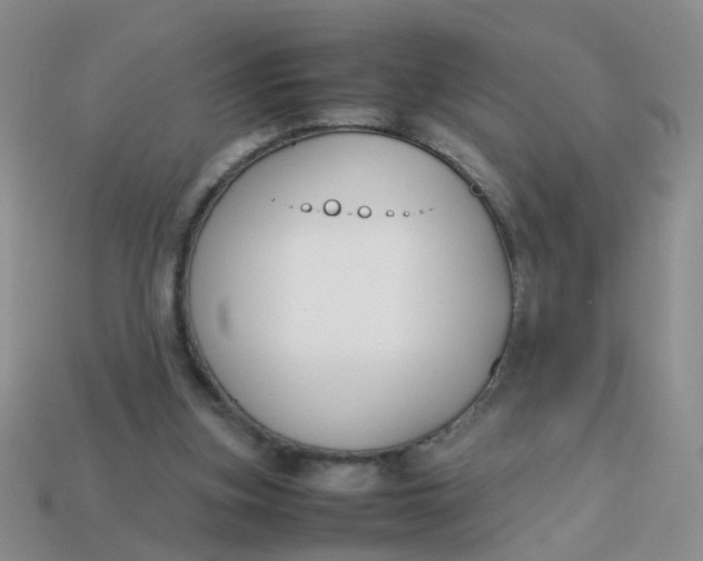 X0000113750155200910141034