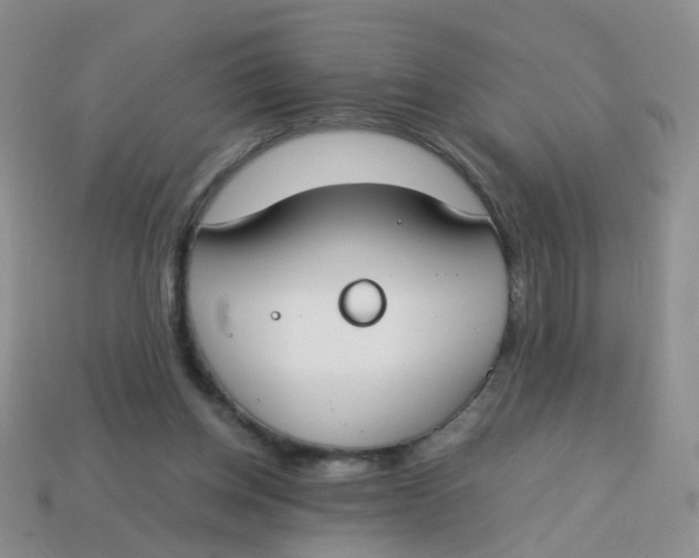 X0000113750158200910141034