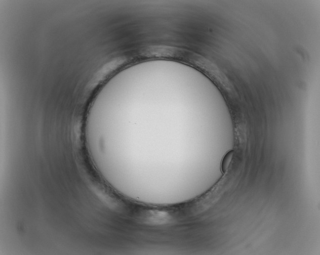 X0000113750159200910141034