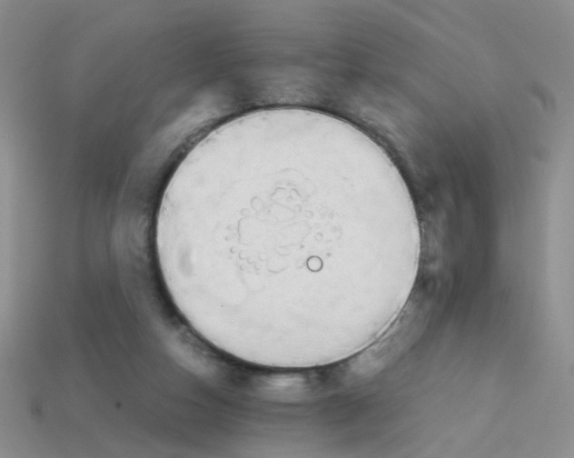 X0000113750162200910141034