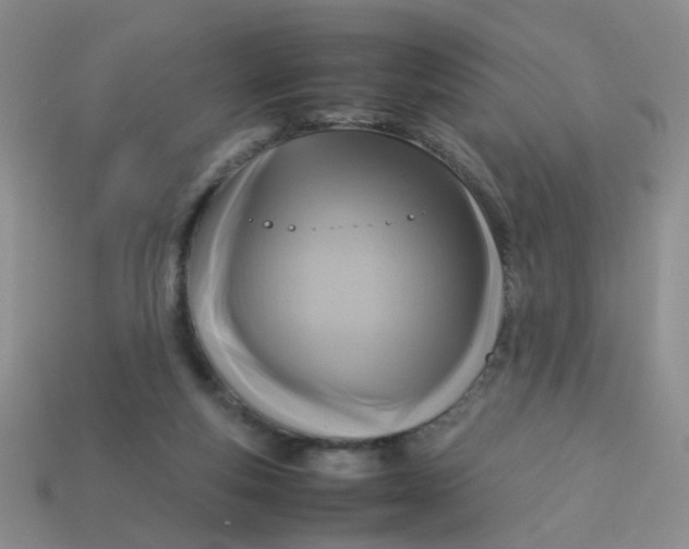 X0000113750163200910141034