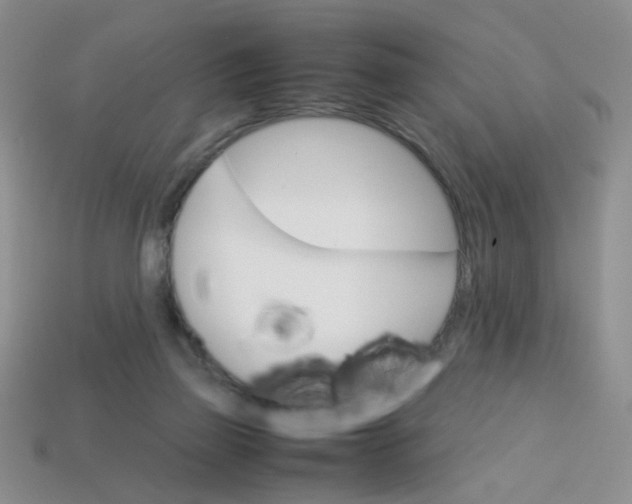 X0000113750165200910141034