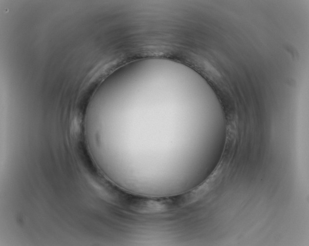 X0000113750166200910141034