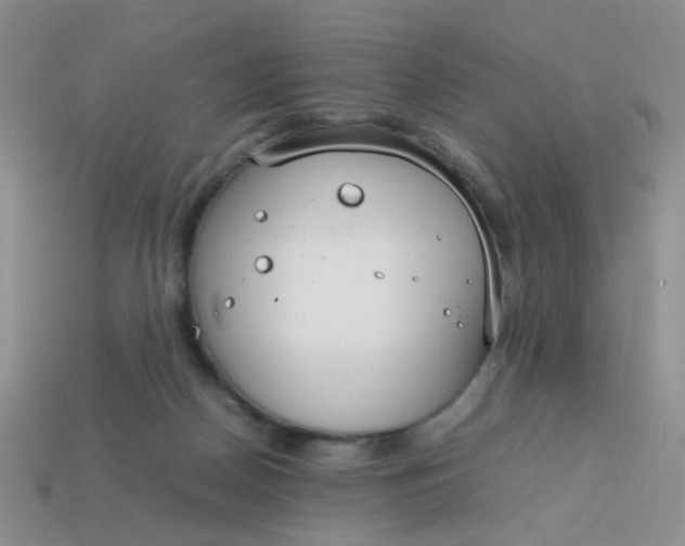 X0000113750170200910141034