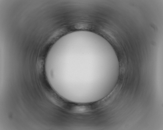 X0000113750171200910141034