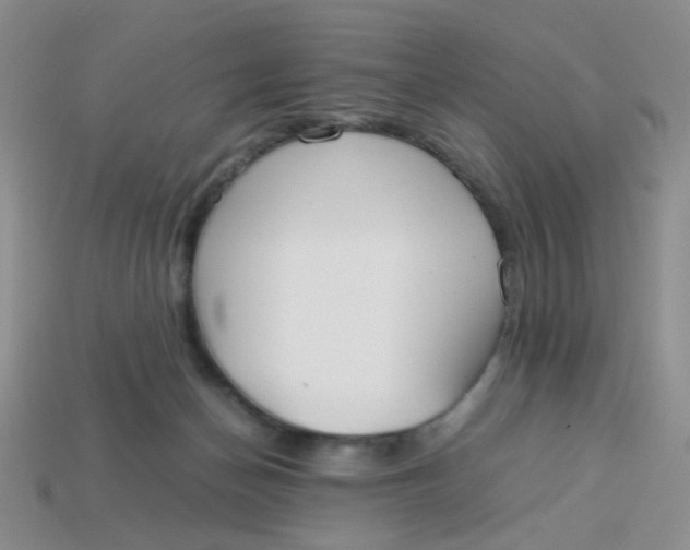 X0000113750174200910141034