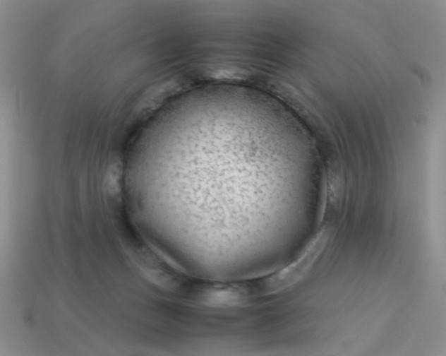 X0000113750175200910141034