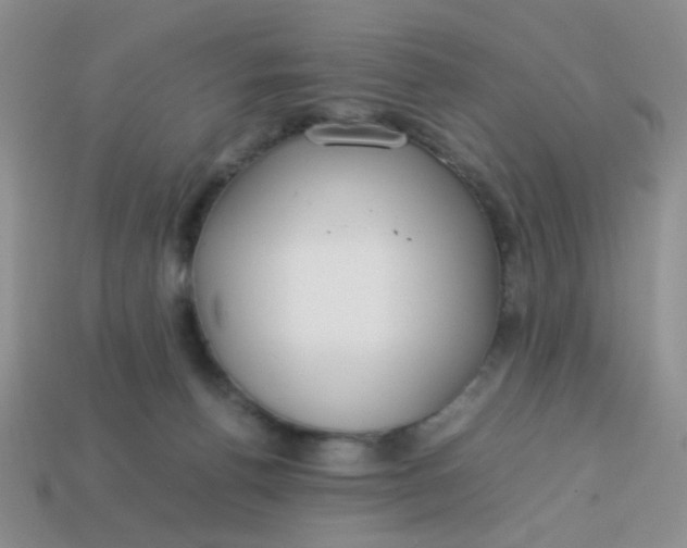 X0000113750176200910141034