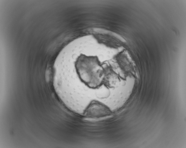 X0000113750181200910141034