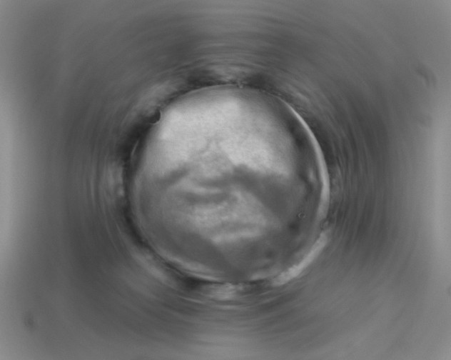 X0000113750182200910141034