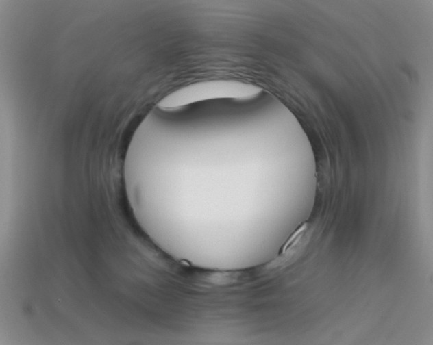 X0000113750184200910141034