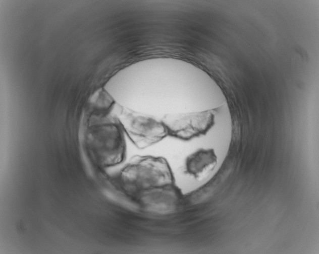 X0000113750185200910141034