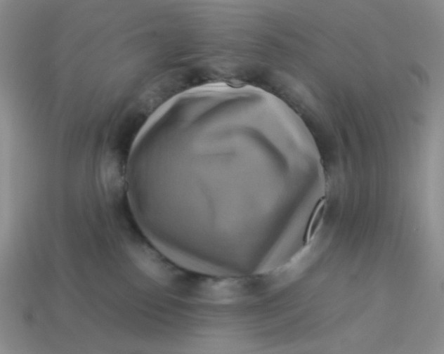 X0000113750186200910141034