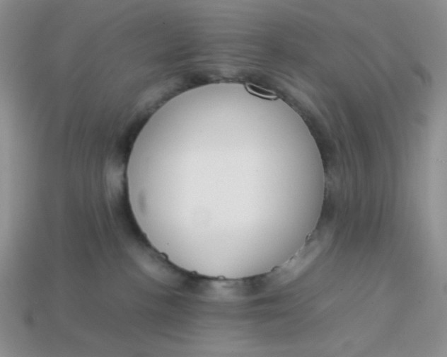 X0000113750188200910141034