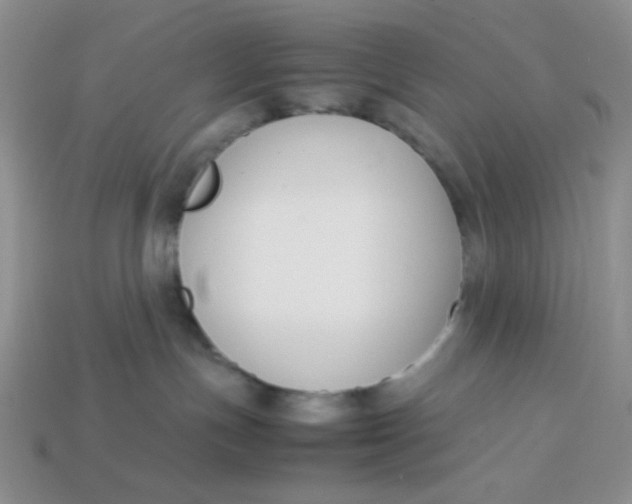 X0000113750191200910141034